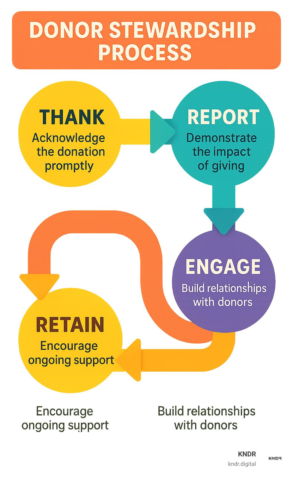 donor stewardship process - fundraising for nonprofits infographic